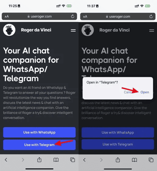 How to use Roger da Vinci on Telegram. How to Use ChatGPT on Telegram